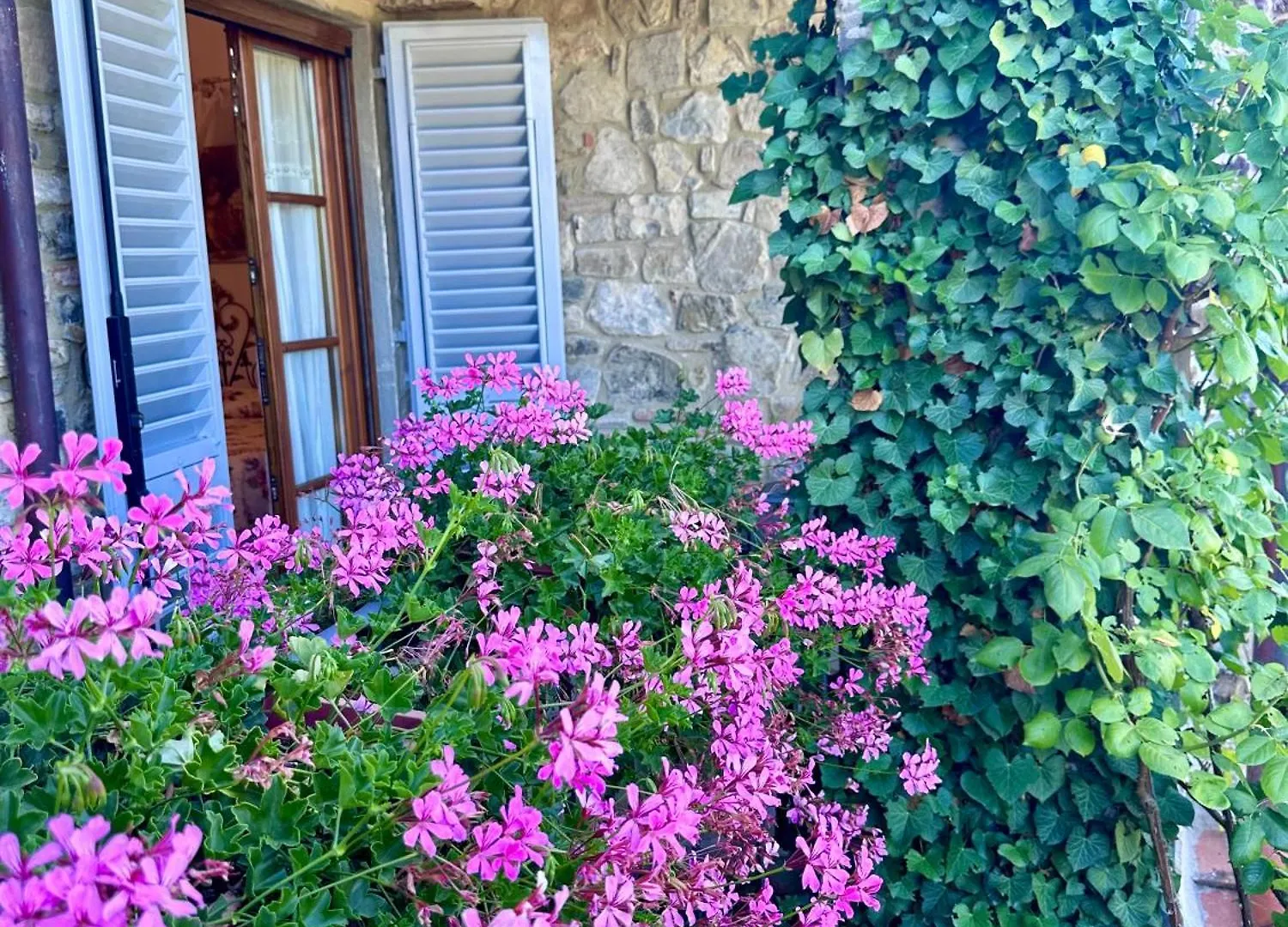 Casale Le Masse Greve in Chianti