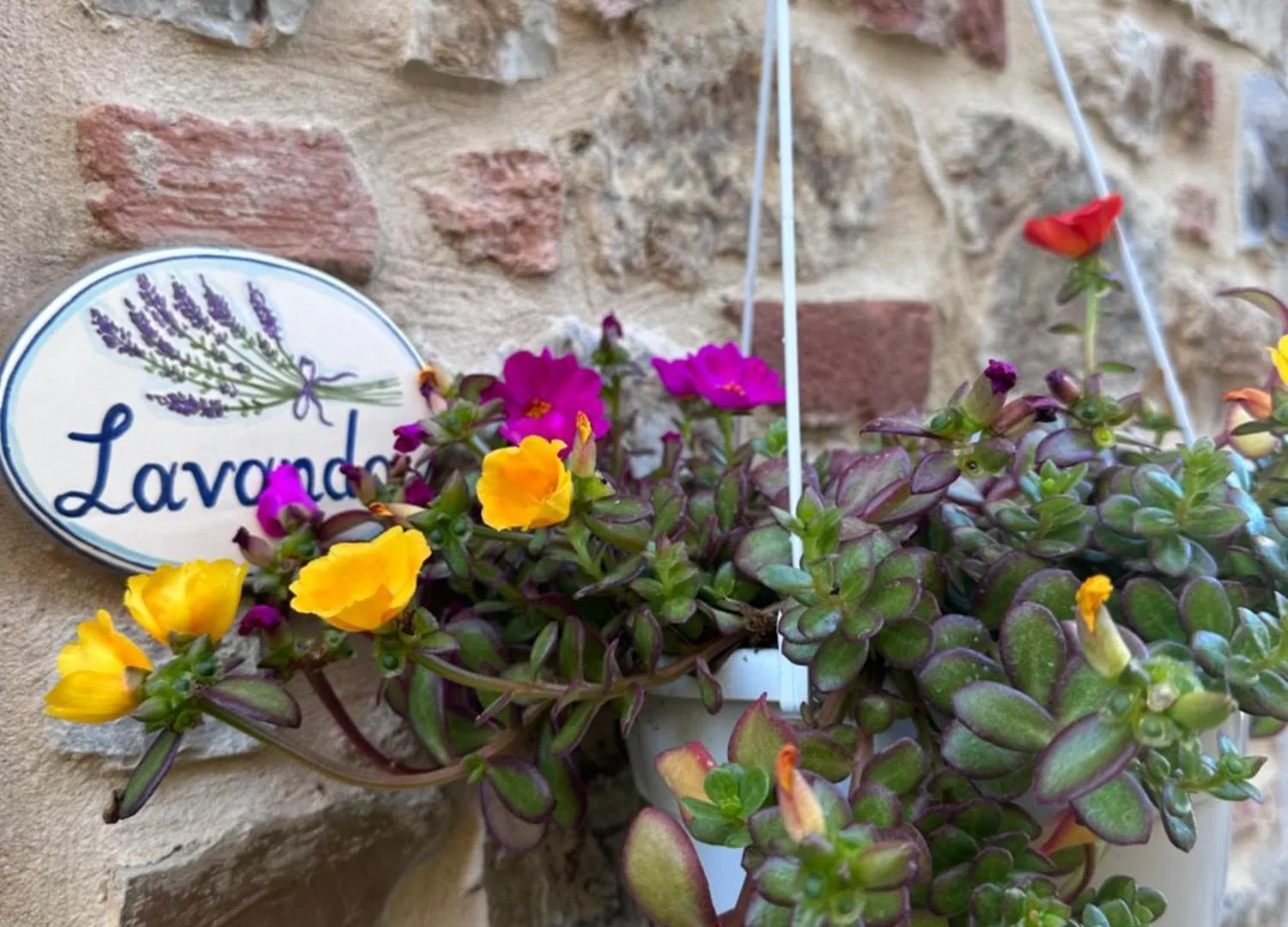 Bed & Breakfast Casale Le Masse Greve in Chianti