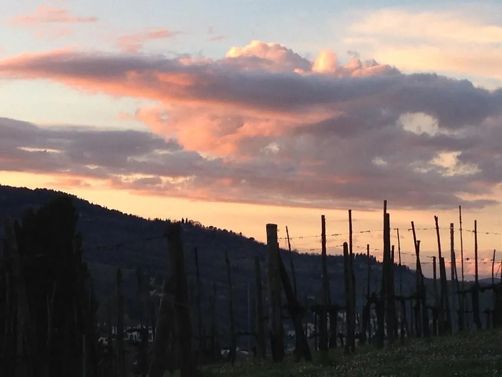 Panzió Casale Le Masse Greve in Chianti