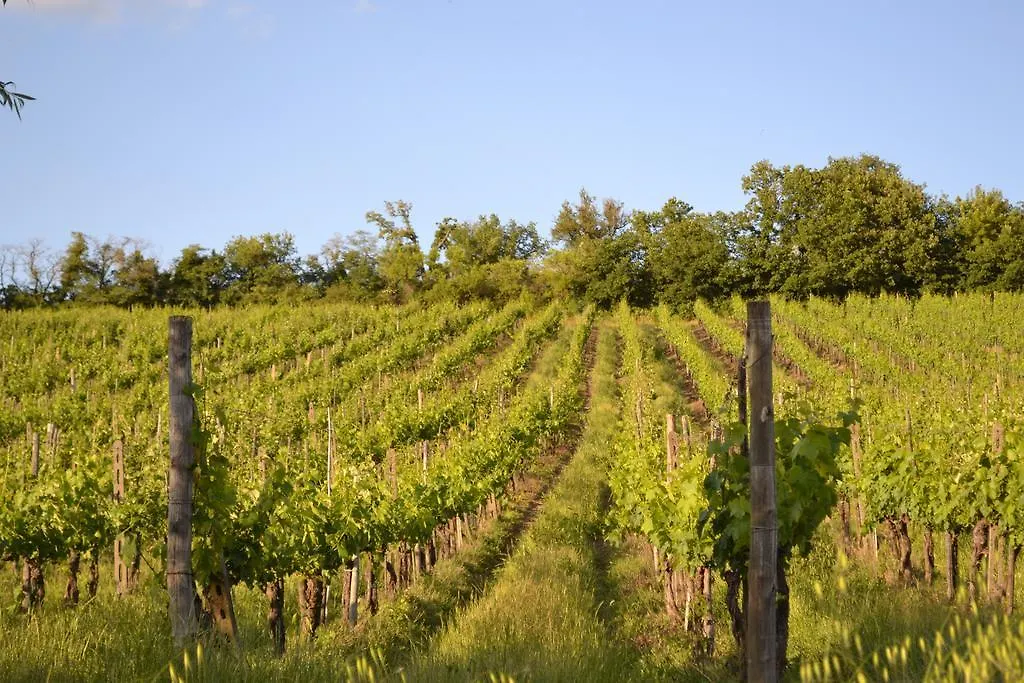 Casale Le Masse Greve in Chianti