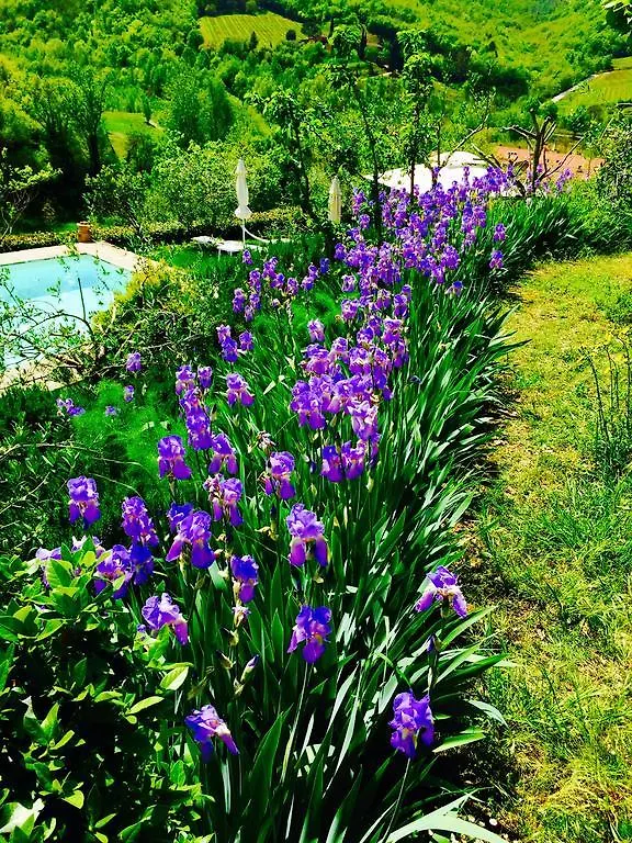 Casale Le Masse Greve in Chianti Bed & Breakfast